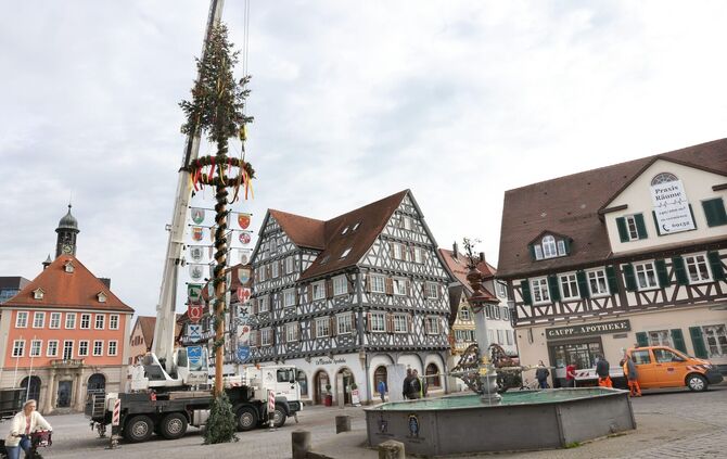 MaibaumScho
