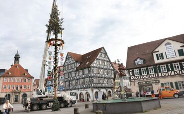 MaibaumScho