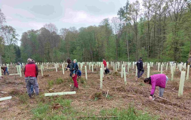 forst20250426_101612klein