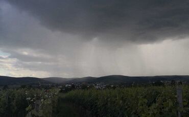 Regen Starkregen Wetter Symbol Symbolfoto Symbolbild