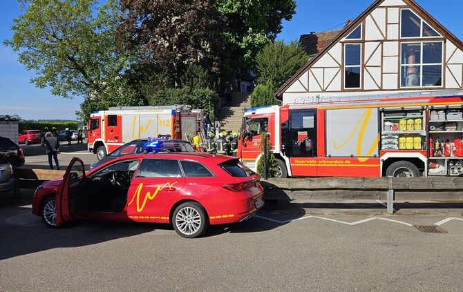 595ad541-c868-4aec-b04b-b1193402f0a5