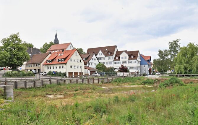 Brache Feuersee