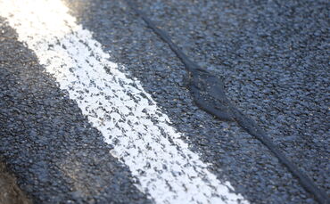 Straße Hegnach - WN