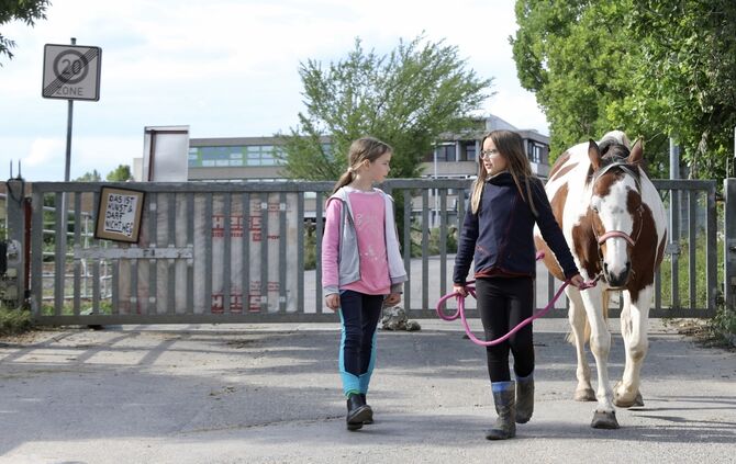 Pferdehof Western Joyride