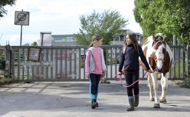 Pferdehof Western Joyride