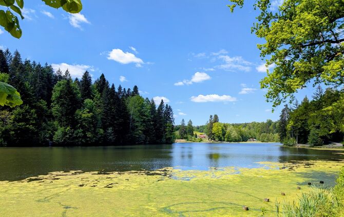 ebnisee_algen