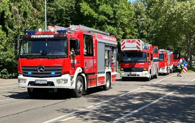 whatsapp-image-2025-05-19-at-122046