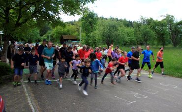 mfmlauf