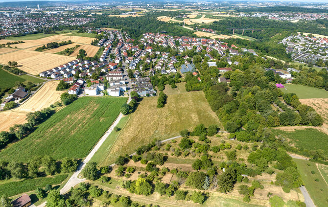 Luftbild Bereich Sörenbergweg, Bühlweg, Seestr., WN-Neustadt, 18.07.2023.