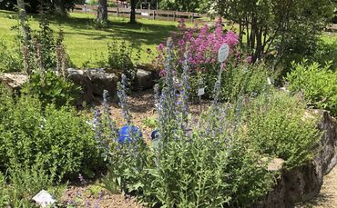 Kräuterterrassen Kaisersbach - 1