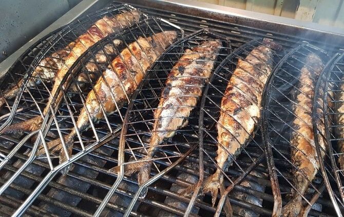 Bonito Makrelenfest