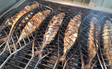 Bonito Makrelenfest