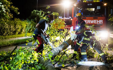 Sturmschaden: Baum musste gefällt werden, Heidenhofer Str., Leutenbach-Weiler zum Stein, 31.05.2025.