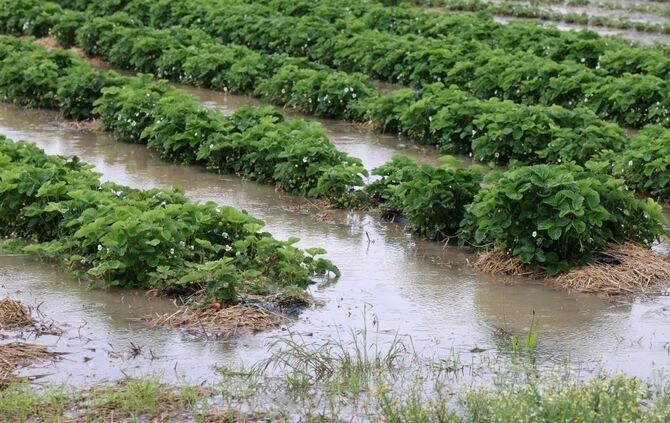Hochwasser Waiblingen