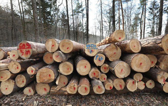 Holz Holzstamm Holstämme Holzpreis symbol symbolbild symbolfoto