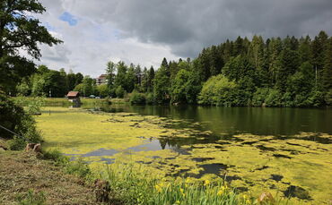 Ebnisee