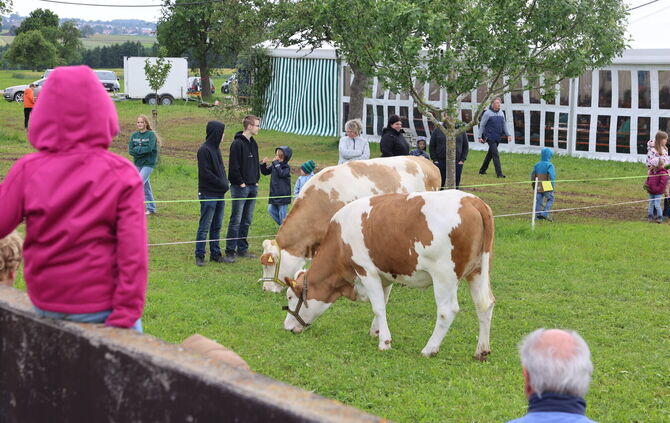 Mannholzer Festtage