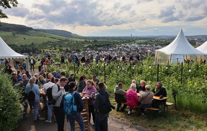 Kulinarischer Weinweg