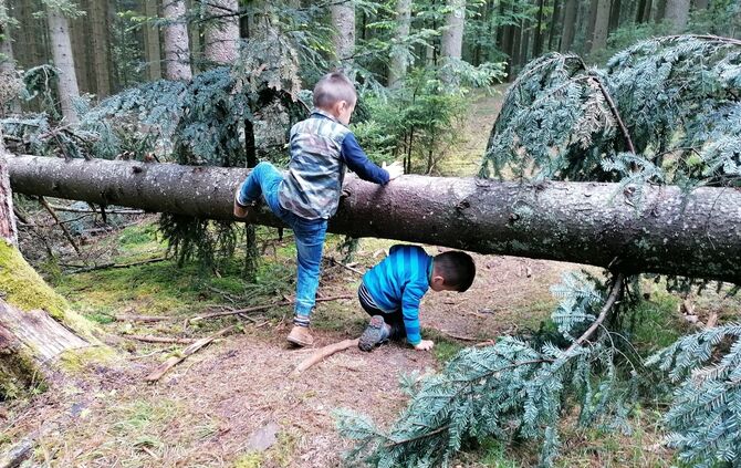 Familienzeit Wald