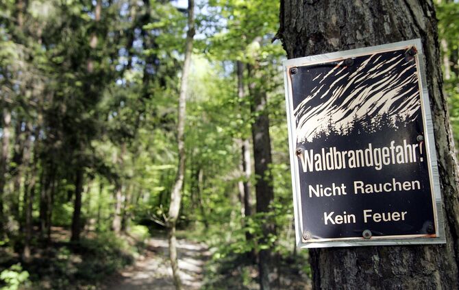 Waldbrand Waldbrandgefahr Wald Rauchen Verboten Grillen Symbol Symbolfoto Symbolbild
