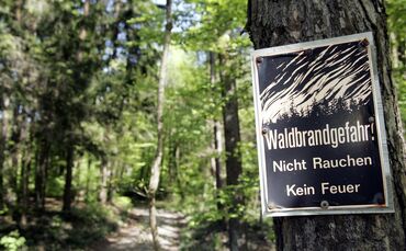 Waldbrand Waldbrandgefahr Wald Rauchen Verboten Grillen Symbol Symbolfoto Symbolbild