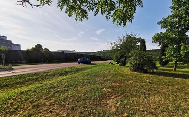 Blühwiese abgemäht