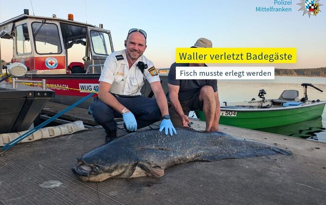 Nach Angriff auf Badegäste - Polizei erschießt Wels