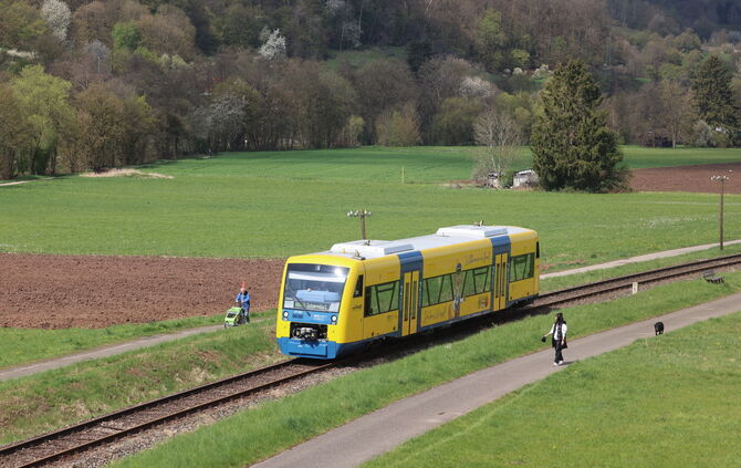 der neue Wiesel - 1