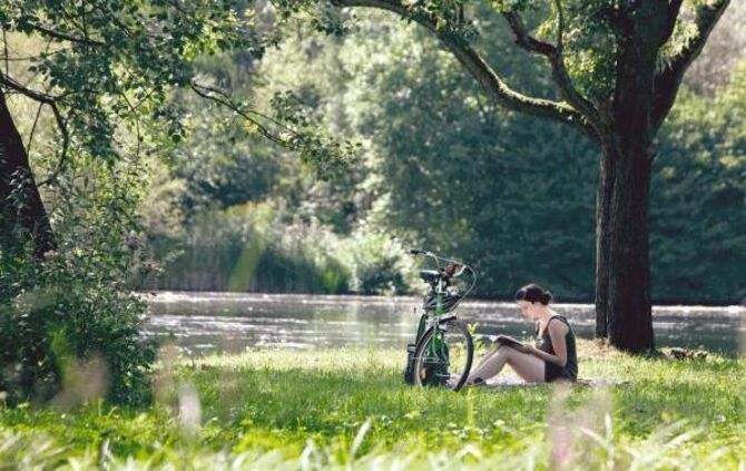 Hitze Features Talaue Taluauensee Waiblingen