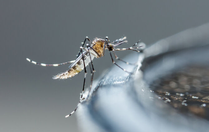 adobestock_110102140