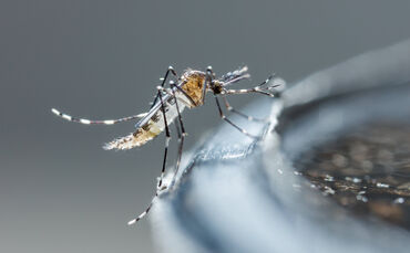 adobestock_110102140