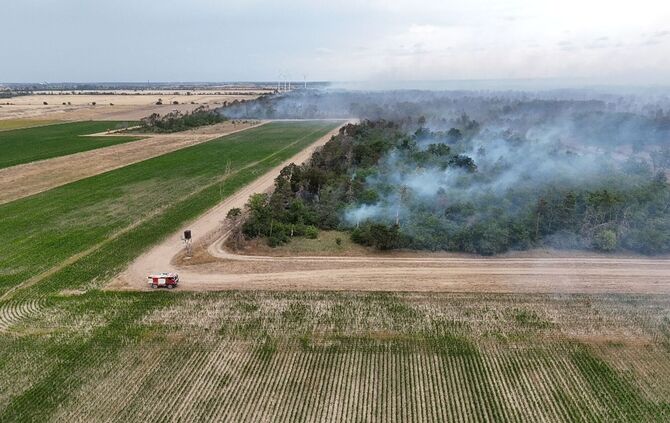 Waldbrand Gohrischheide