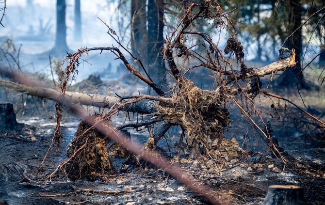 Waldbrand in Thüringen