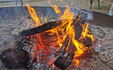 Feuer Brand Grillen Grillplatz Grillstelle Fleisch Symbol Symbolfoto Symbolbild