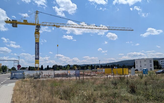 pxl_20250704_102324348