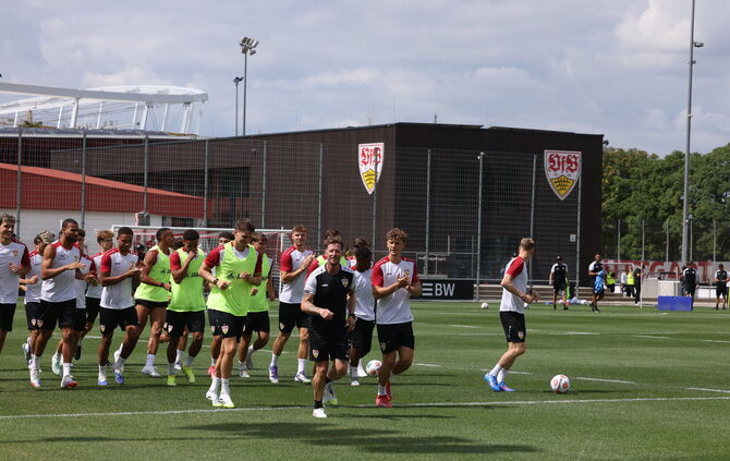 VfB