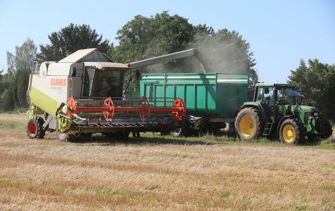 Ernte Getreideernte Mähdrescher Getreide 2021 Landwirtschaft Feld Symbol Symbolfoto