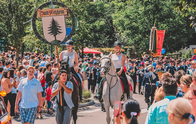 welzheimer-heimattag-2015-7_groer-festumzug_01