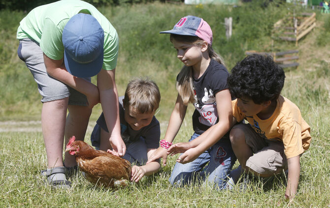 Ferienprogramm Jugendfarm Waiblingen