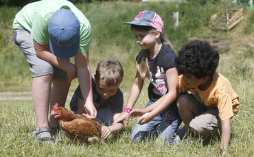 Ferienprogramm Jugendfarm Waiblingen