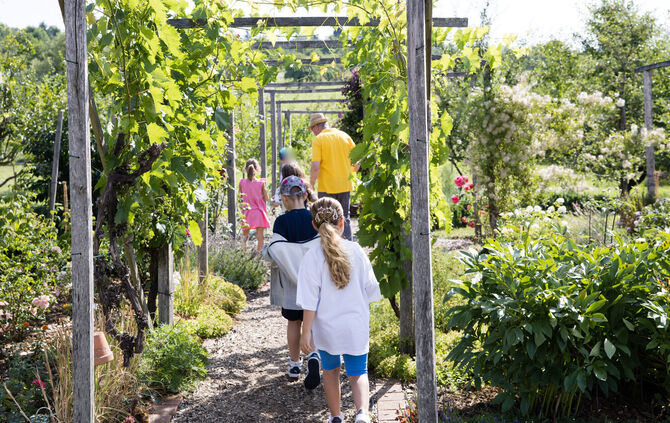 Erstklässer besuchen den OGV-Lehrgarten in Schwaikheim, 18.07.2025.