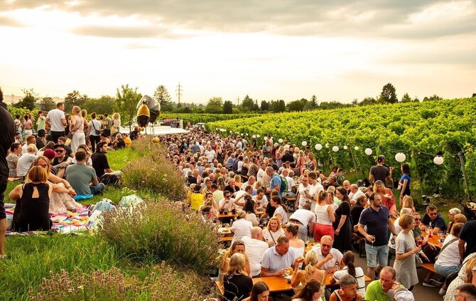 Fellbacher Weingärtner laden zur "FETE" ein