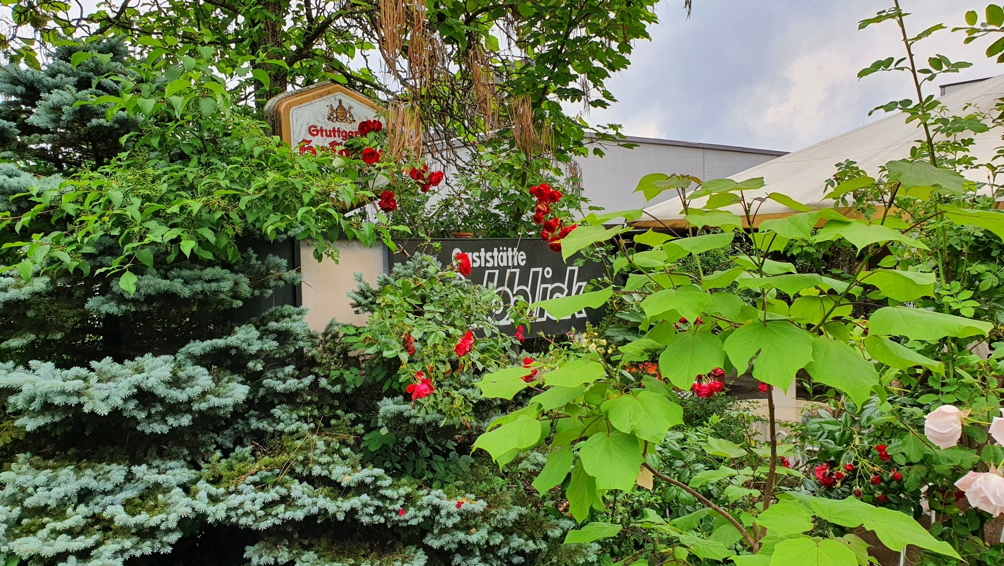 Restaurant Rebblick in Korb: Wie geht’s weiter? - Korb - Zeitungsverlag