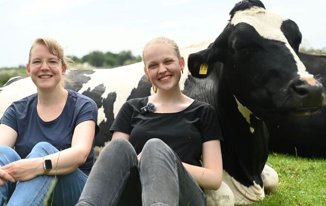 Kuh-Kuscheln beim Hof Lüttje Drööm in Jevenstedt