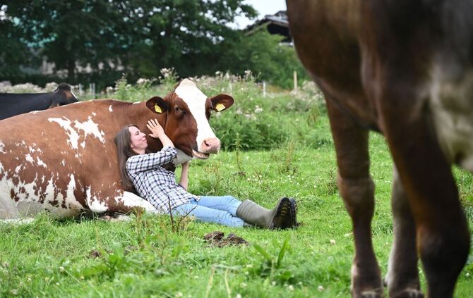 Kuh-Kuscheln beim Hof Lüttje Drööm in Jevenstedt
