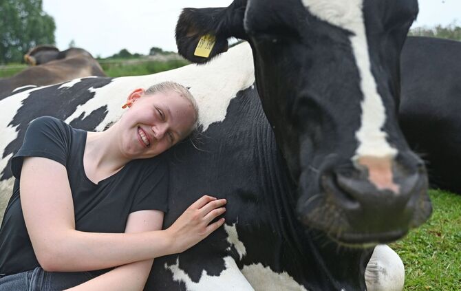 Kuh-Kuscheln beim Hof Lüttje Drööm in Jevenstedt