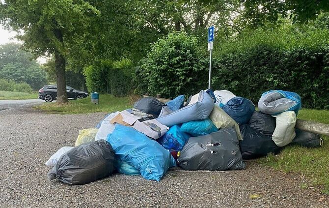 Müll im Hartwald in Fellbach - 1