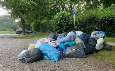 Müll im Hartwald in Fellbach - 1