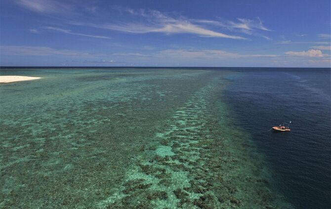 Korallensterben am Great Barrier Reef