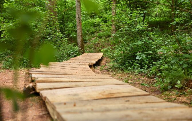 Feenspuren Römerwald